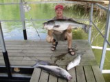 Beaver lake guide