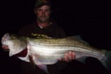 Beaver lake guide