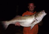 Beaver lake guide