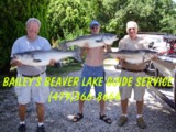 Beaver lake guide