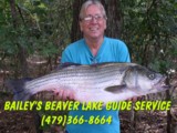 Beaver lake guide
