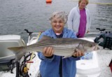Beaver lake guide
