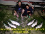 Beaver lake guide