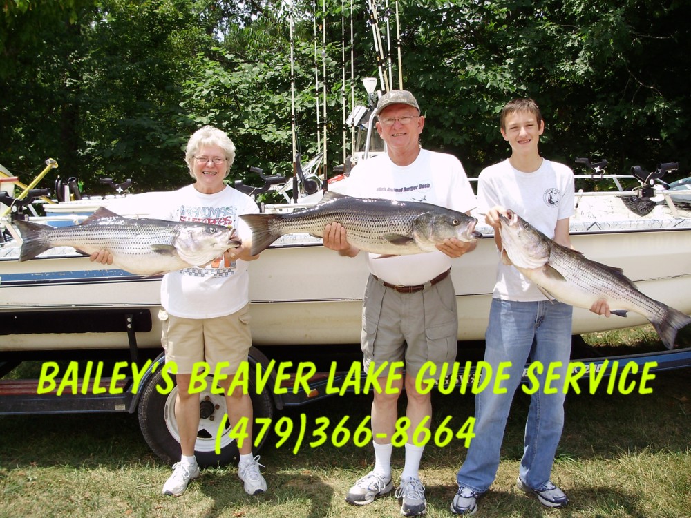 Beaver lake guide