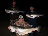 Beaver lake guide