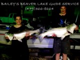 Beaver lake guide