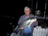 Beaver lake guide