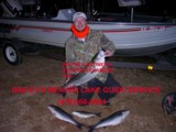 Beaver lake guide