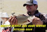 Beaver lake guide