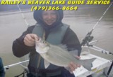 Beaver lake guide