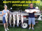 Beaver lake guide