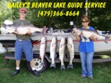 Beaver lake guide