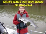 Beaver lake guide