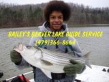 Beaver lake guide