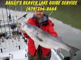 Beaver lake guide