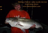 Striper fishing guide service